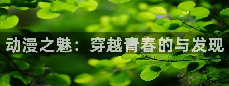 番剧推荐动漫天堂.